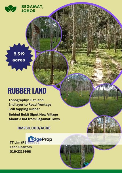 Segamat Rubber Plantation   , Johor, Segamat