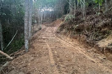 Bentong Lurah Bilut Vacant Land