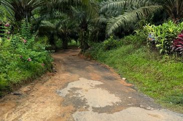 Bentong Lurah Bilut Vacant Land