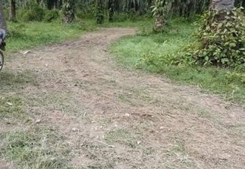 Langkap Agricultural Land