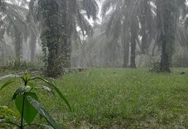 Langkap Agricultural Land