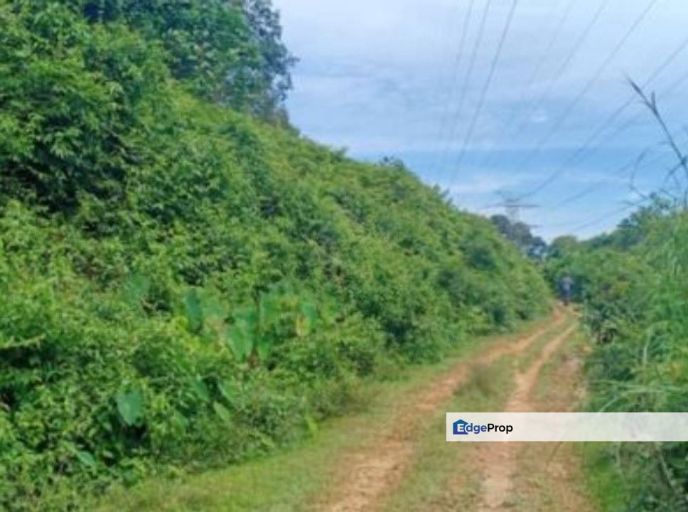Batang Padang Chenderiang Vacant Land, Perak, Slim River