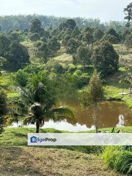 Raub Jalan Lipis Durian Land, Pahang, Raub