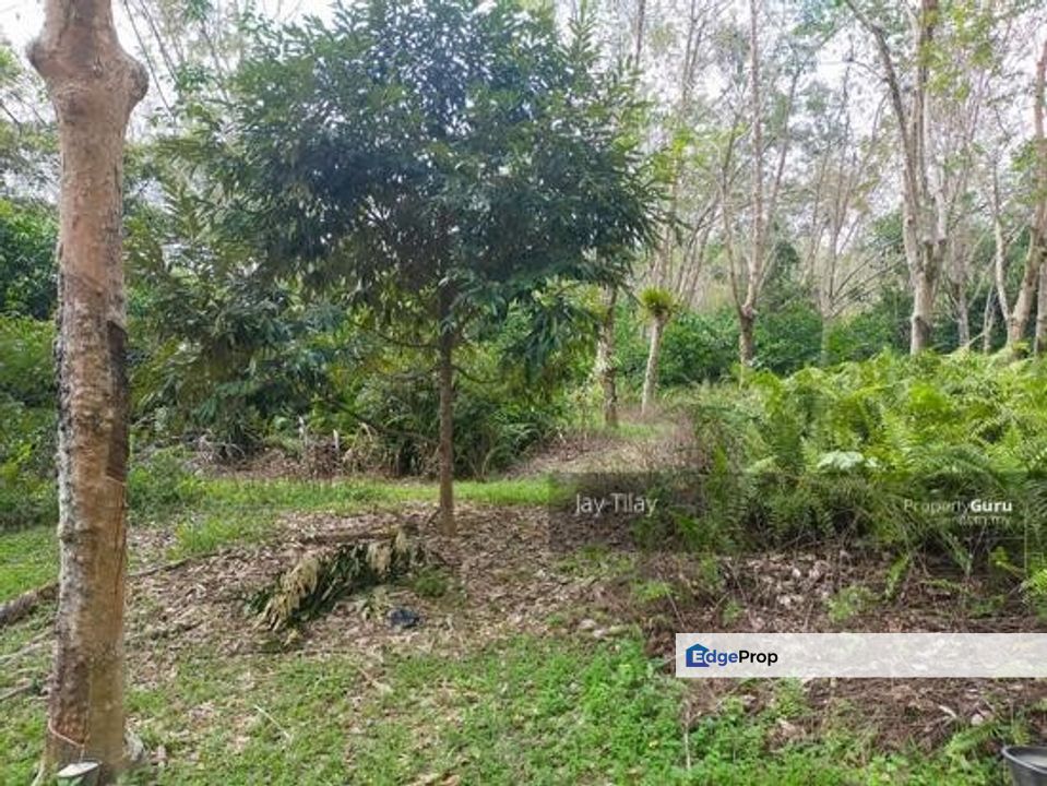 Pertang Agricultural Land, Negeri Sembilan, Jelebu