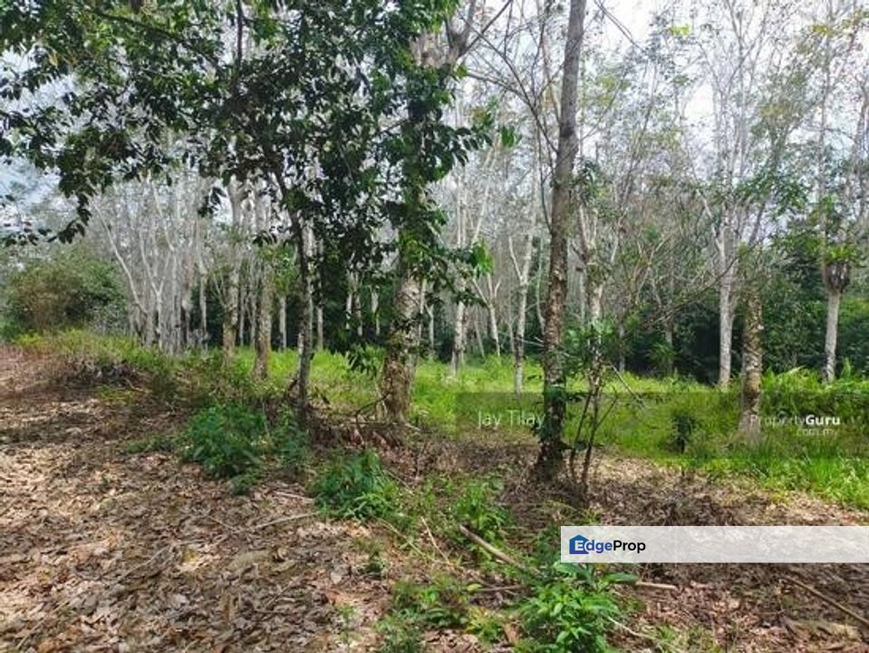Pertang Agricultural Land, Negeri Sembilan, Jelebu