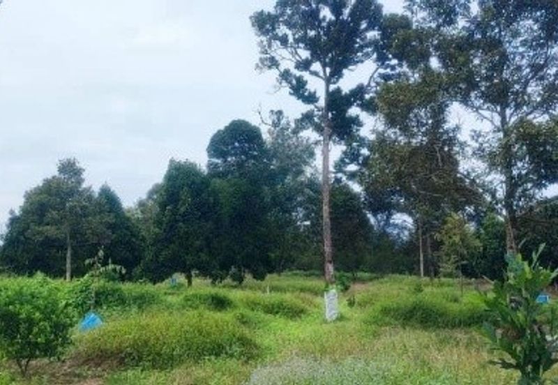 Dusun Land @ Kota Negeri Sembilan