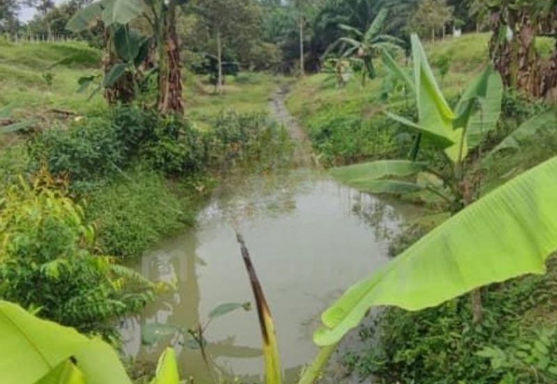 Dusun Land @ Kota Negeri Sembilan