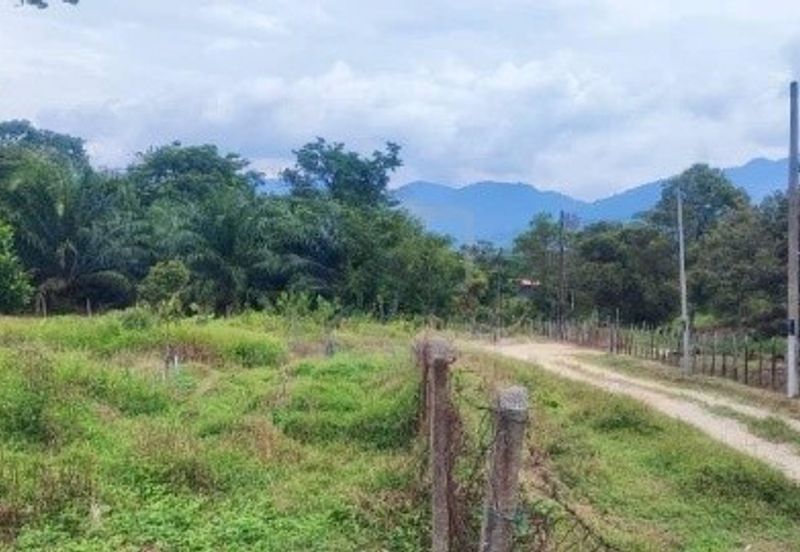 Dusun Land @ Kota Negeri Sembilan