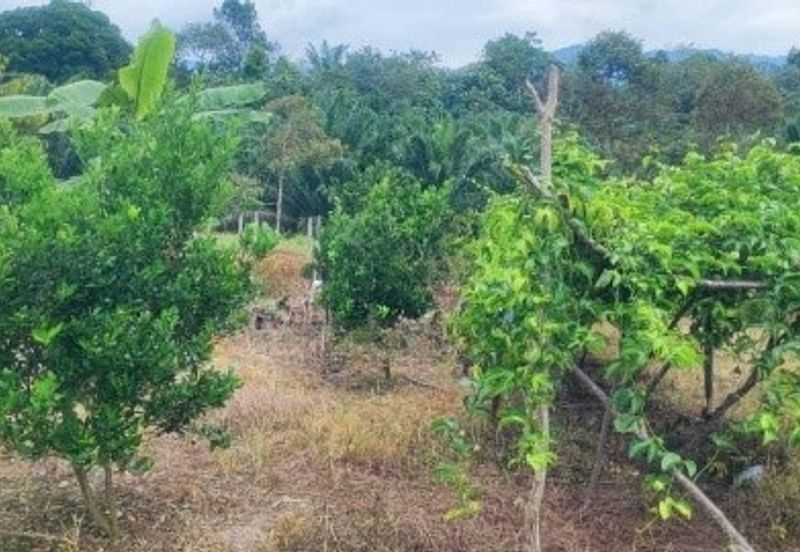Dusun Land @ Kota Negeri Sembilan