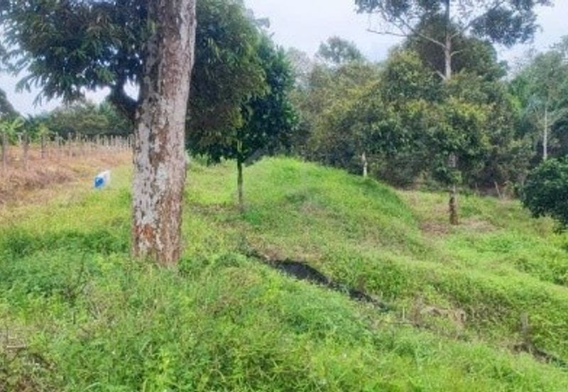 Dusun Land @ Kota Negeri Sembilan