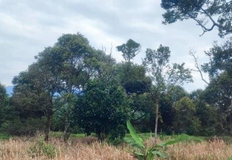 Dusun Land @ Kota Negeri Sembilan