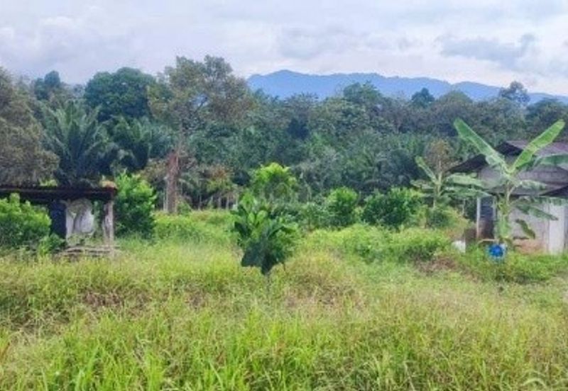 Dusun Land @ Kota Negeri Sembilan