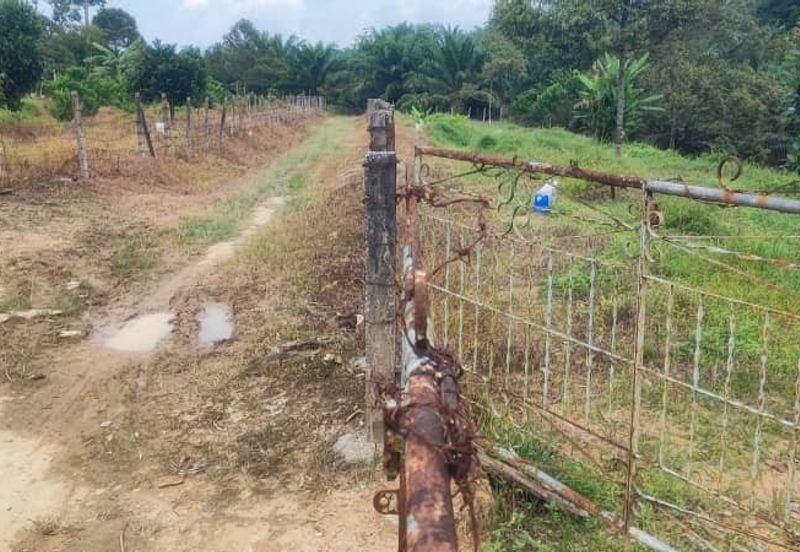 Dusun Land @ Kota Negeri Sembilan