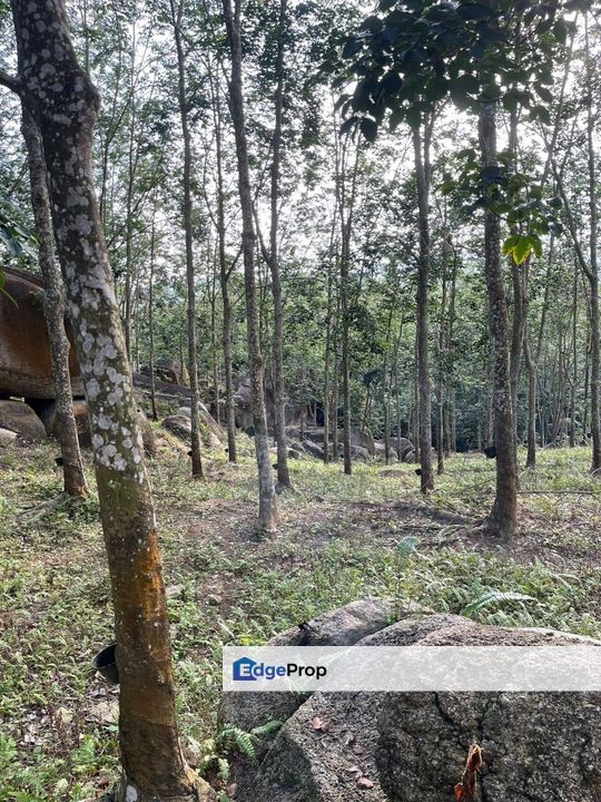 Tampin Rubber Land, Negeri Sembilan, Tampin