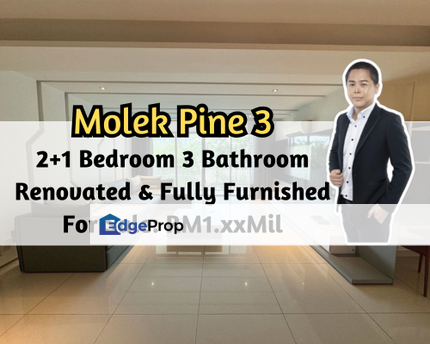 Molek Pine 3, Johor Bahru, Johor, Fully Furnished, Modern Design, Gated Guarded, 2 Plus 1 Bedroom, Johor, Johor Bahru
