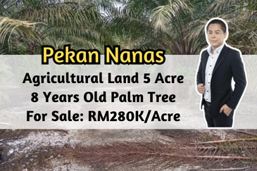 Pekan Nanas