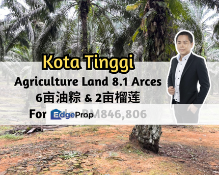 Jalan Kota Tinggi, Ulu Tiram, Johor, Kota Tinggi, Mawai, 8.1 Arces, Asking Price Rm2.4 per / sqft, Johor, Ulu Tiram