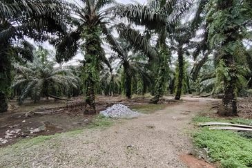 Taman Sri Pekan Nanas