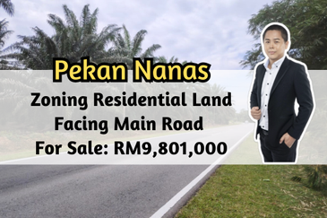 Taman Sri Pekan Nanas