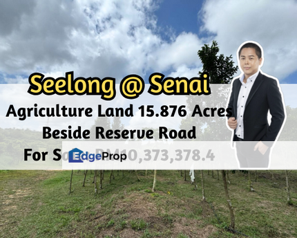 Seelong, Senai, Johor, Agriculture Land, 15.876 Acres, Beside Reserve Road, Johor, Senai