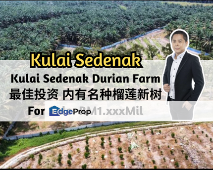 Sedenak, Kulai, Johor, Kulai Sedenak Durian Farm, Near Sedenak Toll & Sedenak Data Centre, Johor, Kulai