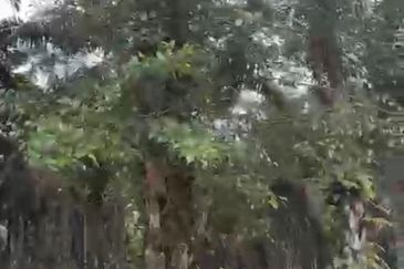 7.5Acres Agriculture Land For Sale