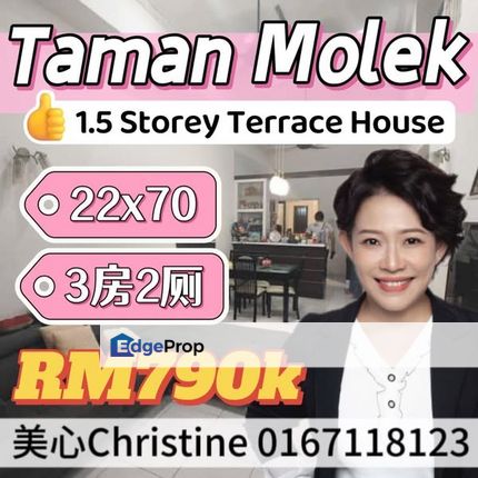 Molek 1.5 Storey Terrace House 22x70, Johor, Johor Bahru