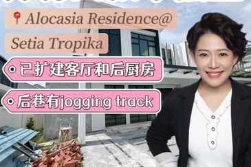 Setia Tropika Alocasia Semi D