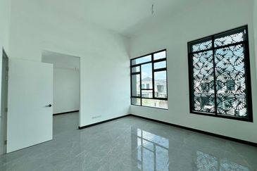 Setia Tropika Alocasia Semi D