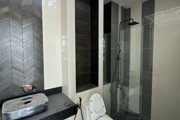 Setia Tropika Alocasia Semi D