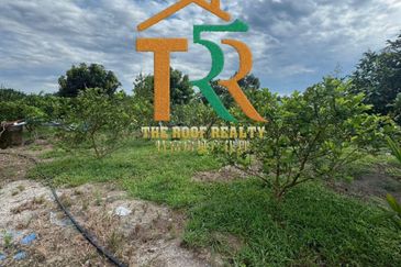 Layang-Layang Agricultural Land 