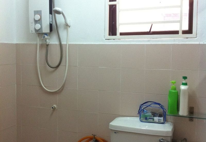 Evergreen Park Acorn and Hazel