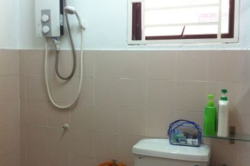 Evergreen Park Acorn and Hazel