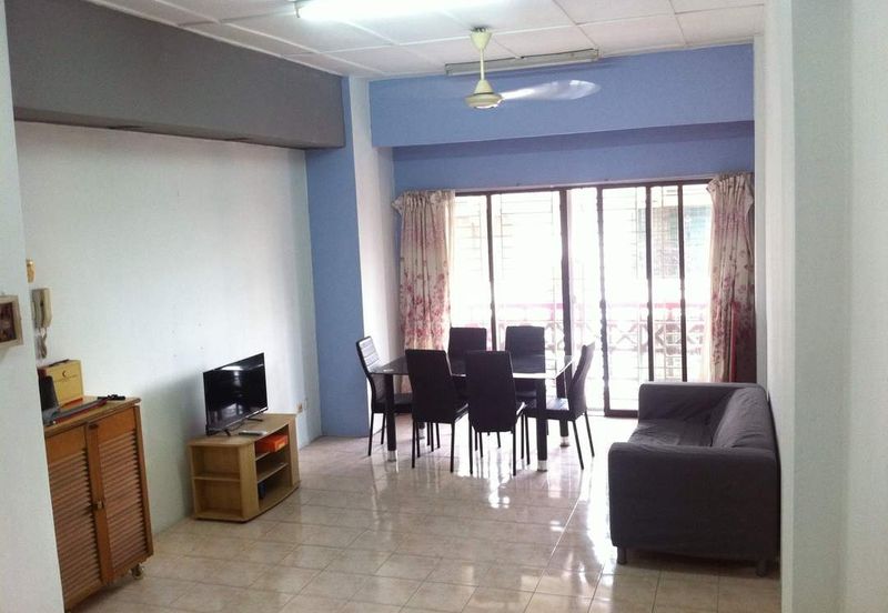 Evergreen Park Acorn and Hazel