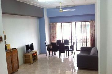 Evergreen Park Acorn and Hazel