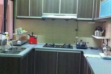 Evergreen Park Acorn and Hazel