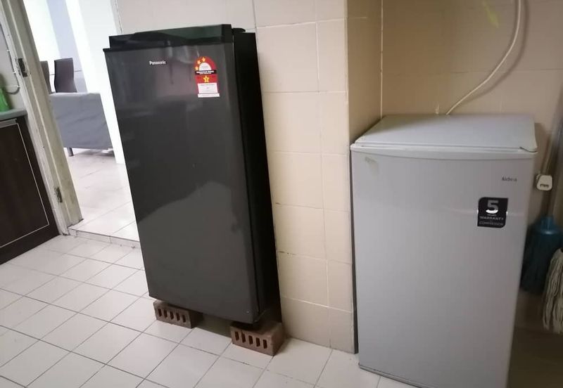 Evergreen Park Acorn and Hazel