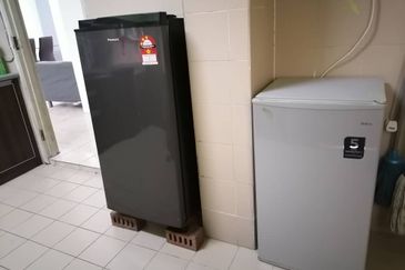 Evergreen Park Acorn and Hazel