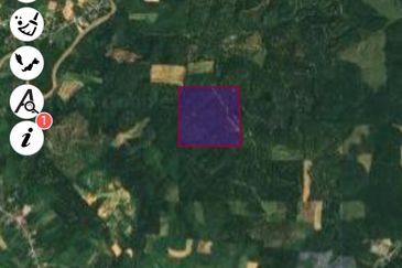 Oil palm land at Sungai Siput, Jalan Lintang Batu 5 for sale