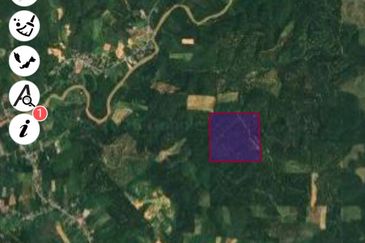 Oil palm land at Sungai Siput, Jalan Lintang Batu 5 for sale