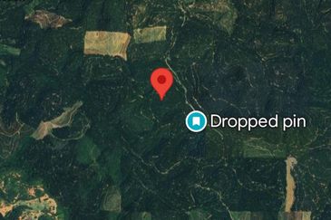 Oil palm land at Sungai Siput, Jalan Lintang Batu 5 for sale