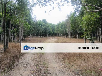 🤩🤩 Zoning Commercial Land Fully Planted with High Value Agarwood @ Behind Petron Beside Main Road For Sale 🤩🤩, Johor, Ulu Tiram