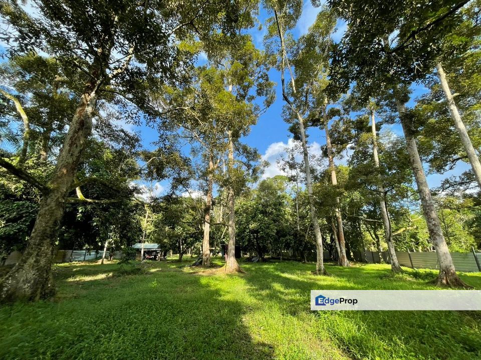 Pontian Kampung Teluk Kerang Land, Johor, Pontian