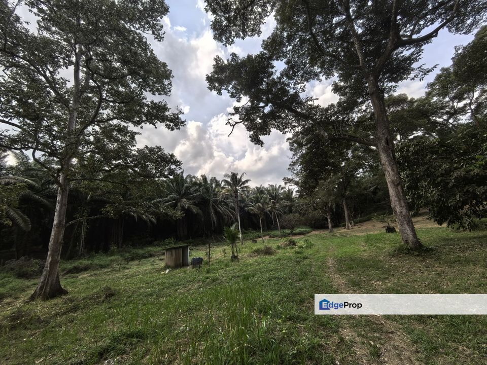 Kota Tinggi Land, Johor, Kota Tinggi