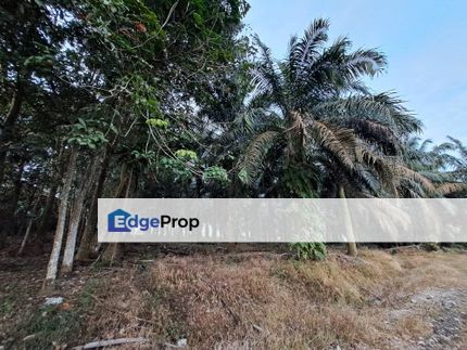 Ban Foo Land, Johor, Ulu Tiram