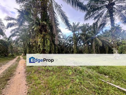 Ulu Tiram Land, Johor, Ulu Tiram