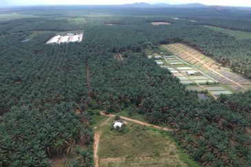 Kluang Layang Layang Land