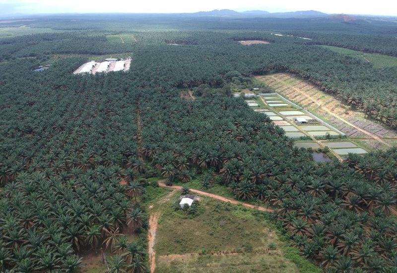 Kluang Layang Layang Land