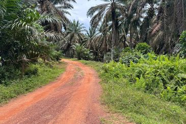 Kluang Layang Layang Land