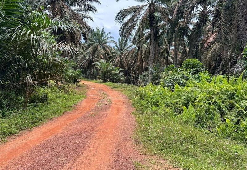 Kluang Layang Layang Land